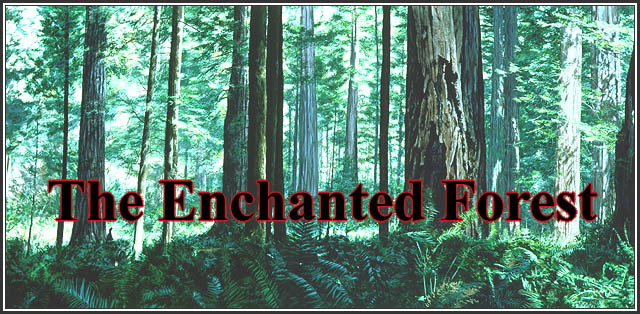 Unit 14, The Enchanted Forest